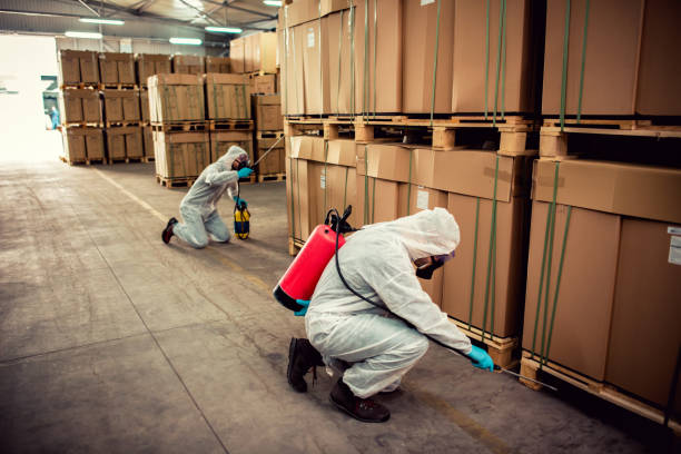 Best Cockroach Control Services  in Pine Knot, KY