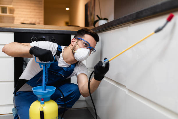 Wasp Removal Services in Pine Knot, KY