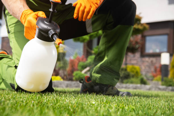 Best Pest Prevention Services  in Pine Knot, KY