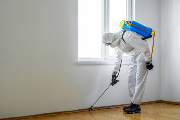 Best Best Pest Control Companies  in Pine Knot, KY