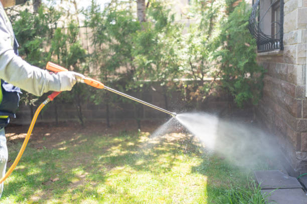 Best Mosquito Control Services  in Pine Knot, KY