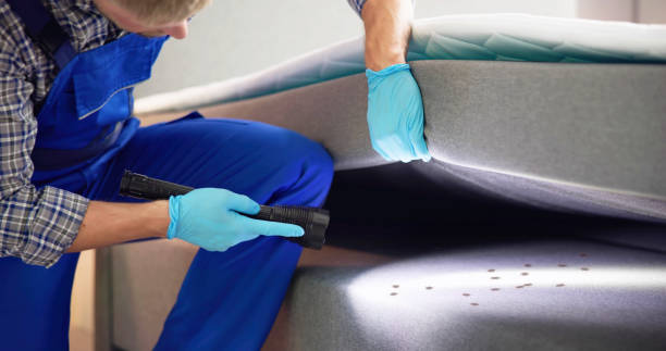 Best Termite Control Services  in Pine Knot, KY