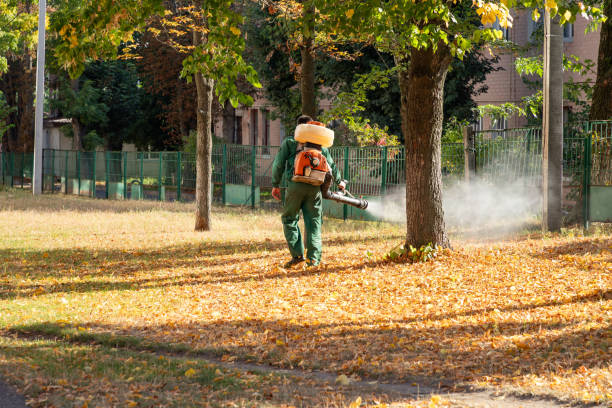 Best Termite Control Services  in Pine Knot, KY