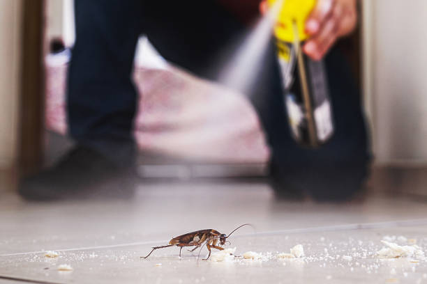 Best Emergency Pest Control  in Pine Knot, KY