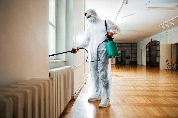 Best Wasp Removal Services  in Pine Knot, KY