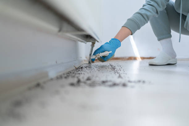 Best Pest Control for Restaurants  in Pine Knot, KY